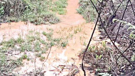 The Mangwaneni River with dirty water after the illegal gold mining. (File pic)